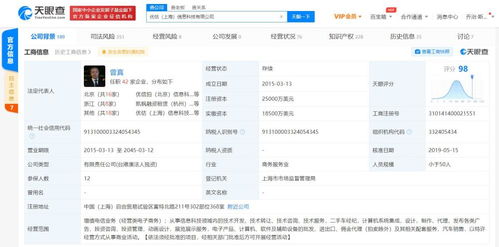 計算機系統集成 構建高效信息系統的核心工程